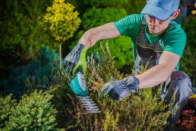landscaping services Hamersville